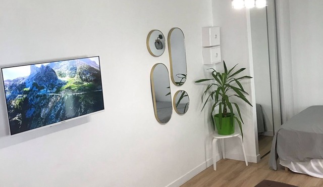 Charming 25m2 studio close to CDG airport, Parc Astérix, sandy sea,