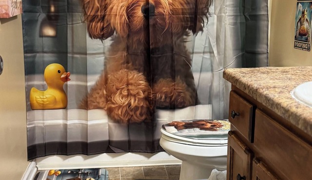 Charming 2bedroom, 2FULL bathroom house with AC and WiFi 10 minutes from Walmart