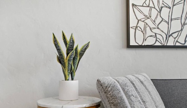 Charming 2BR Apt in Lincoln Square Near Stores