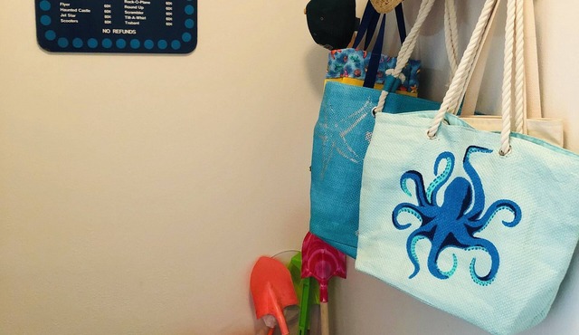 Charming 3-balcony condo, heart of Santa Cruz! River, Boardwalk and Ocean Views!