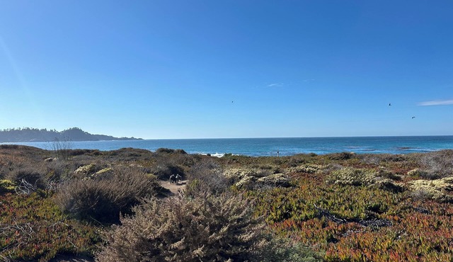 Charming 3-bedroom house in wonderful Carmel-by-the-Sea with WiFi