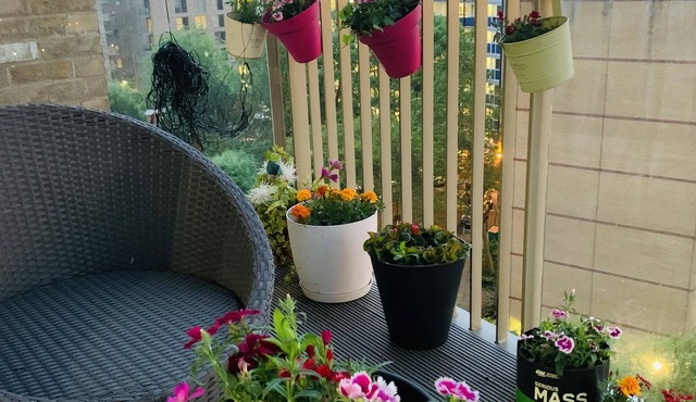 Charming 3-Bed Apartment in London