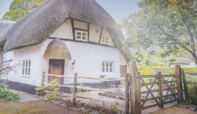Charming 3 bed Thatched cottage in rural village near Stockbridge Winchester.