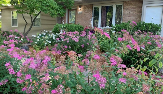 Charming 3-bedroom home in Mt Pleasant near colleges, Casino and children parksn