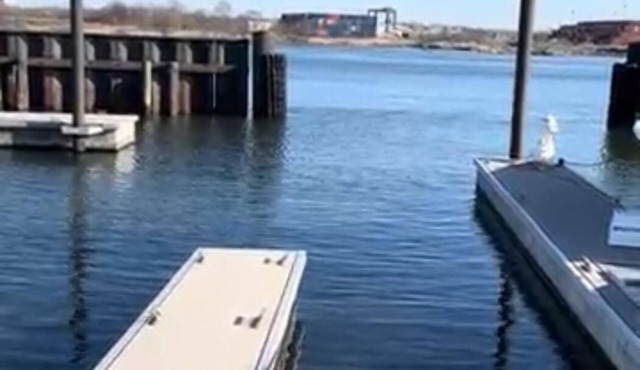 Charming 3-bedroom apartment in Elizabeth with AC