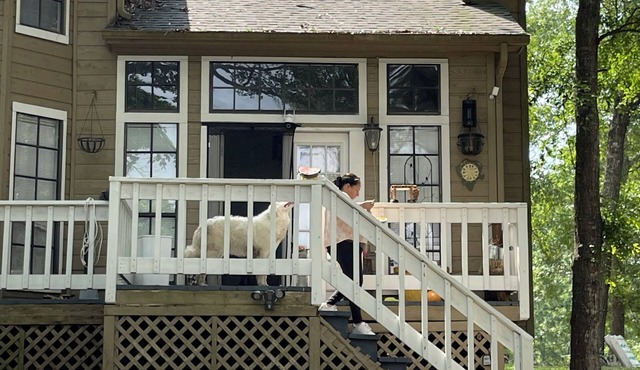 Charming 3-bedroom country house in wonderful Huntsville with AC.