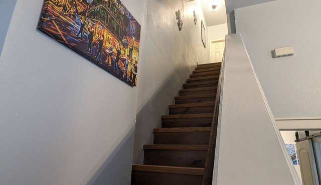 Charming 3-bedroom Camelback Shotgun Double in the fabulous Treme Neighborhood