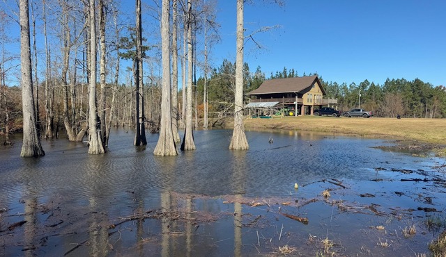Charming 3-bedroom cabin with WiFi, AC on Escatawpa River in Lucedale MS