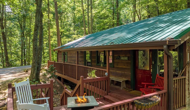 Charming 3-bedroom cabin- AC and WiFi, Fireplace and Jacuzzi in gorgeous Ellijay