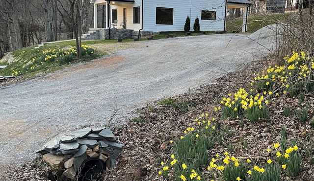 Charming 3-bedroom farmhouse with WiFi in Historic Charlotte, TN