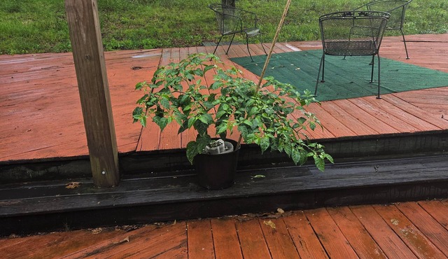 Charming 3-bedroom farmhouse with AC, fitness room in delightful Century