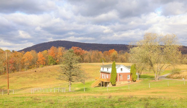 Charming 3-bedroom Farmhouse in Newport