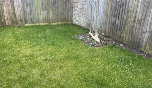 Charming 3 bedroom House in a quite little village.