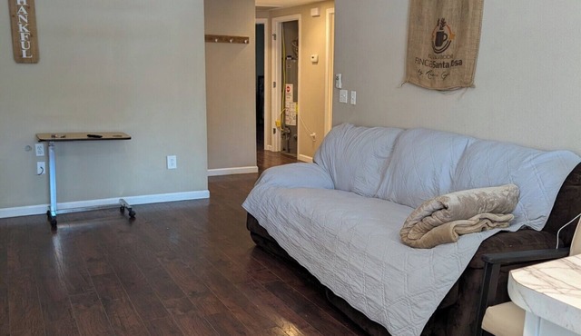 Charming 3-bedroom house in lovely Pocahontas with WiFi, AC