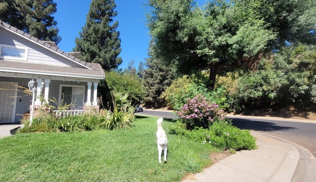 Charming 3-bedroom house in beautiful RiverBank with AC