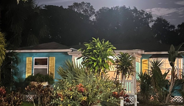 Charming 3-bedroom house in lovely Gulfport with beautiful private backyard.