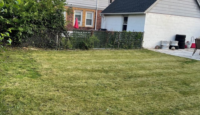 Charming 3-bedroom house with WiFi in Hillside