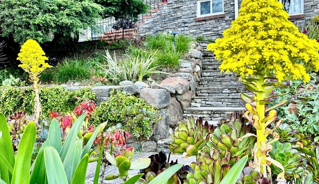 Charming 3-bedroom house in Martinez with fast WiFi and Beautiful backyard