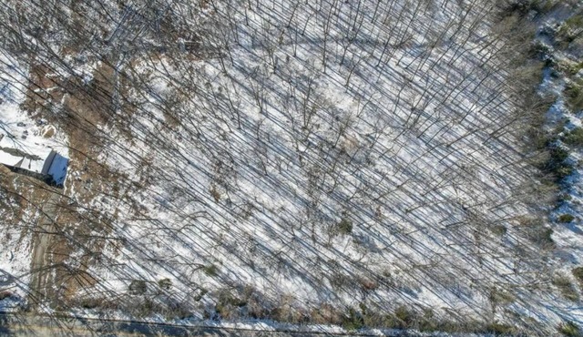 Charming 3-bedroom house with WiFi and AC in Pleasant Bristow