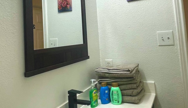 Charming 3-bedroom house with WiFi and AC in fabulous Dallas