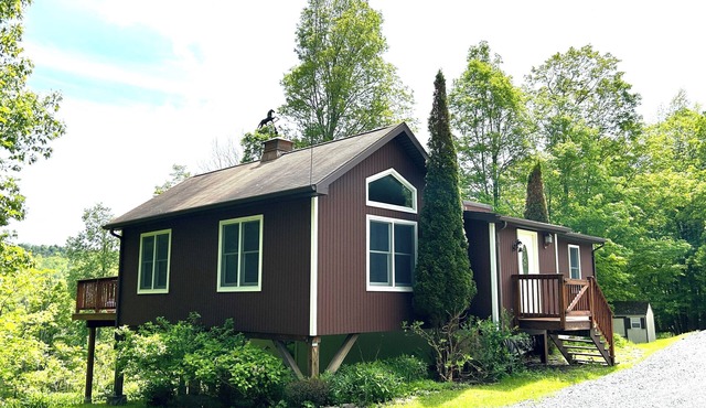 Charming 3-bedroom house in the Catskills. Pet friendly with fantastic views