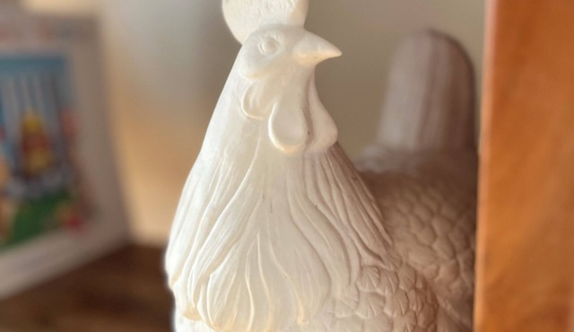 Charming 3-bedroom pet-friendly house in Ballarat