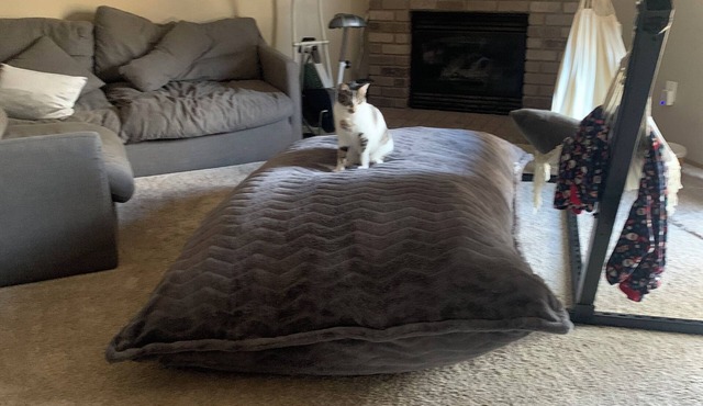 Charming 3-bedroom pet friendly house with hot tub, fitness room, WiFi/Puyallup