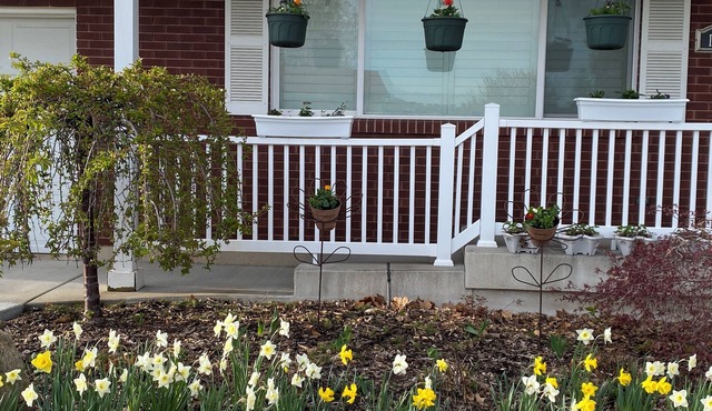 Charming 3-bedroom private basement suite in Layton with everything you'll need.