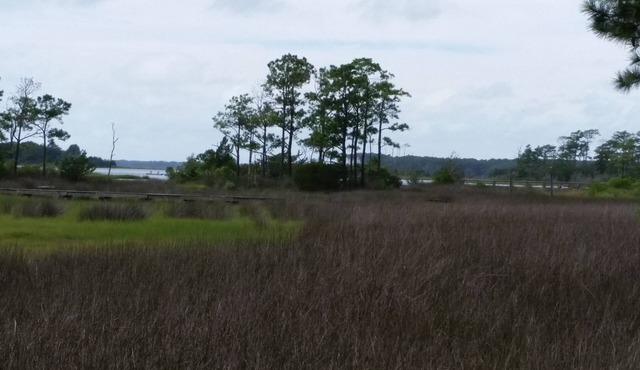 Charming 3 bedroom retreat on North Leopard Creek near Beaufort, NC