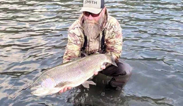 Charming 3-bedroom riverside cabin close to Grand Teton and Yellowstone