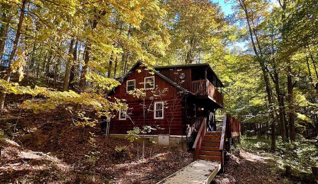 Charming 3-bedroom cabin near Indiana University!