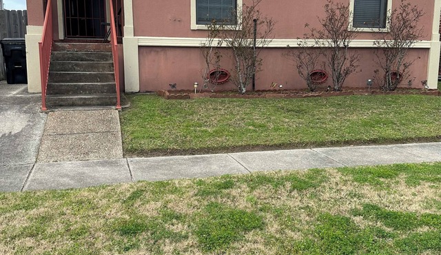 Charming 3-bedroom house with AC and WiFi in lively New Orleans
