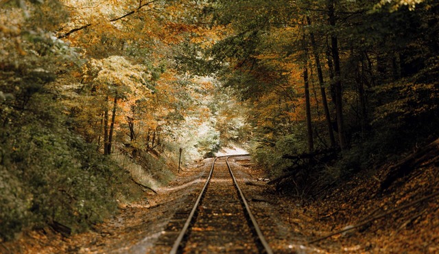 Charming 3-bedroom cottage on the creek with AC