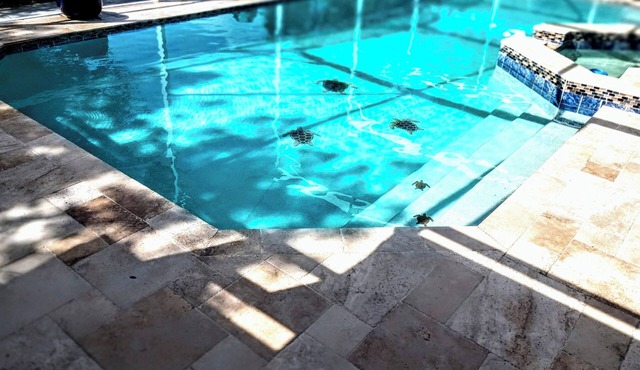 Charming 3-bedroom house with WiFi, AC in Winter Park