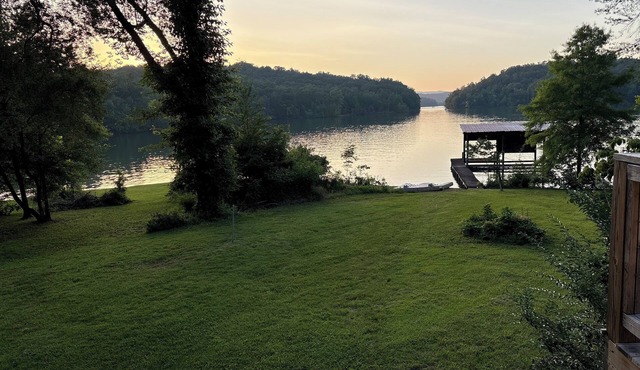 Charming 3-beds with loft in peaceful cove on Watts Bar Lake! Bring your boat!