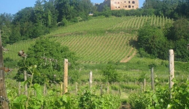 CHARMING 3* HOUSE IN ALSACE ON THE WINE ROUTE AT KINTZHEIM