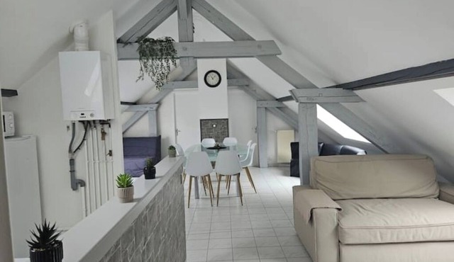 Charming 3-room apartment in Thionville