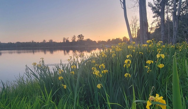 Charming 4 Bdrm Lake House + Huge Games Room