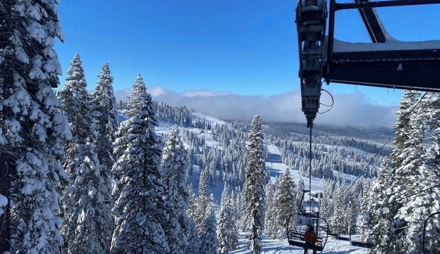 Charming 4-bedroom cabin with WiFi, AC, 5 miles from Pinecrest Lake/Dodge Ridge