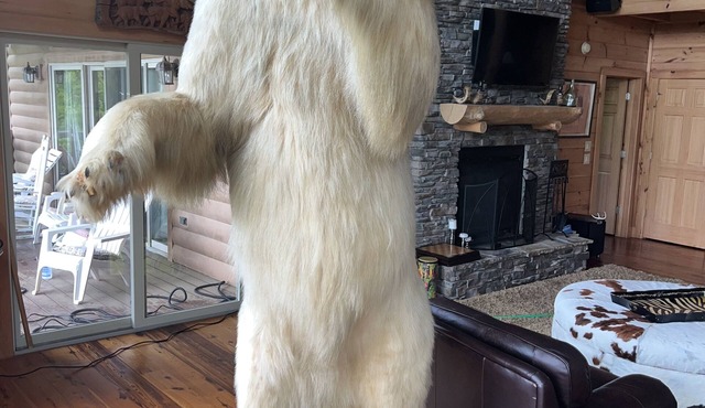 Charming 4-bedroom chateau with WiFi, fitness room in lovely Dillard.