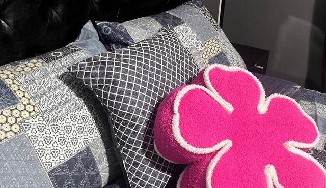 Charming 4-bedroom house with WiFi, AC in welcoming Evanston