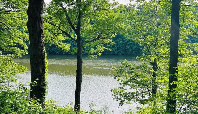 Charming 4-bedroom, riverfront cottage in Oswego