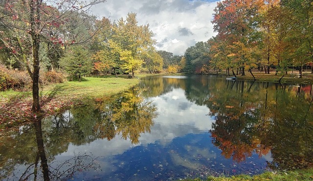 Charming 4-bedroom house with WiFi and AC in Granite Bay with Lake on 10 acres