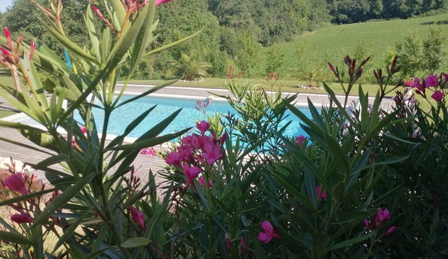 Charming 4-person gîte in a relaxing setting with heated swimming pool and pond