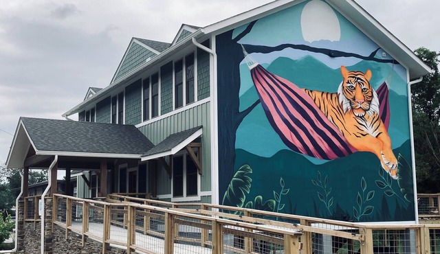 Charming 5-bedroom hostel north of downtown Asheville sleeps 24!