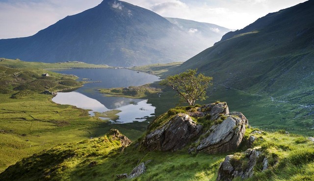 Charming 5* Two Bedroom Hidden Cottage with Wood Fired Hot Tub near beaches