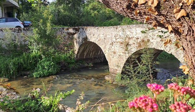 Charming 6-bedroom water mill on the banks of the Indre River in serene Courçay