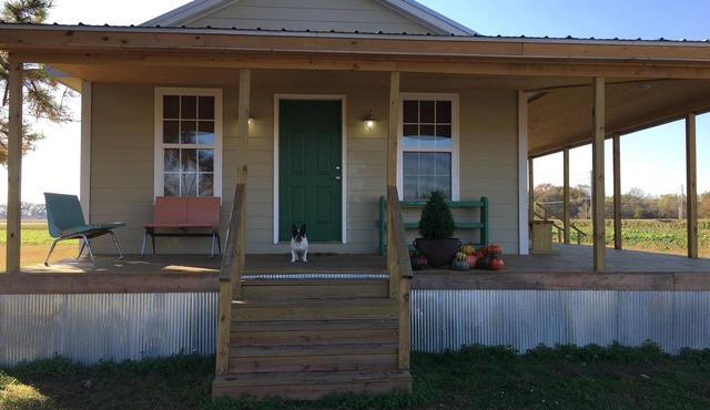 Charming! 7 min. from D’town Mem., ❤️1 pet free 2nd pet considered for fee