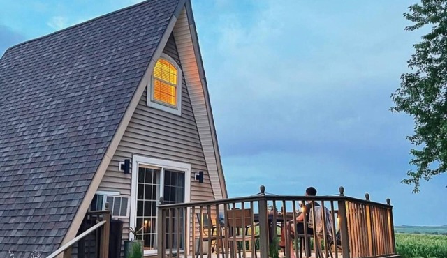 🏠 Charming A-Frame w/Mid-Century Vibe 1 Bed/1 Bath near Elizabeth, Illinois🌲