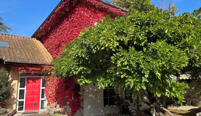Charming accommodation with spa 🏡 🧘‍♂️🌿 And electric charging station 🚗